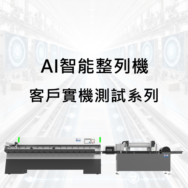 AI Smart Packaging Line Organizer -Customer actual machine test